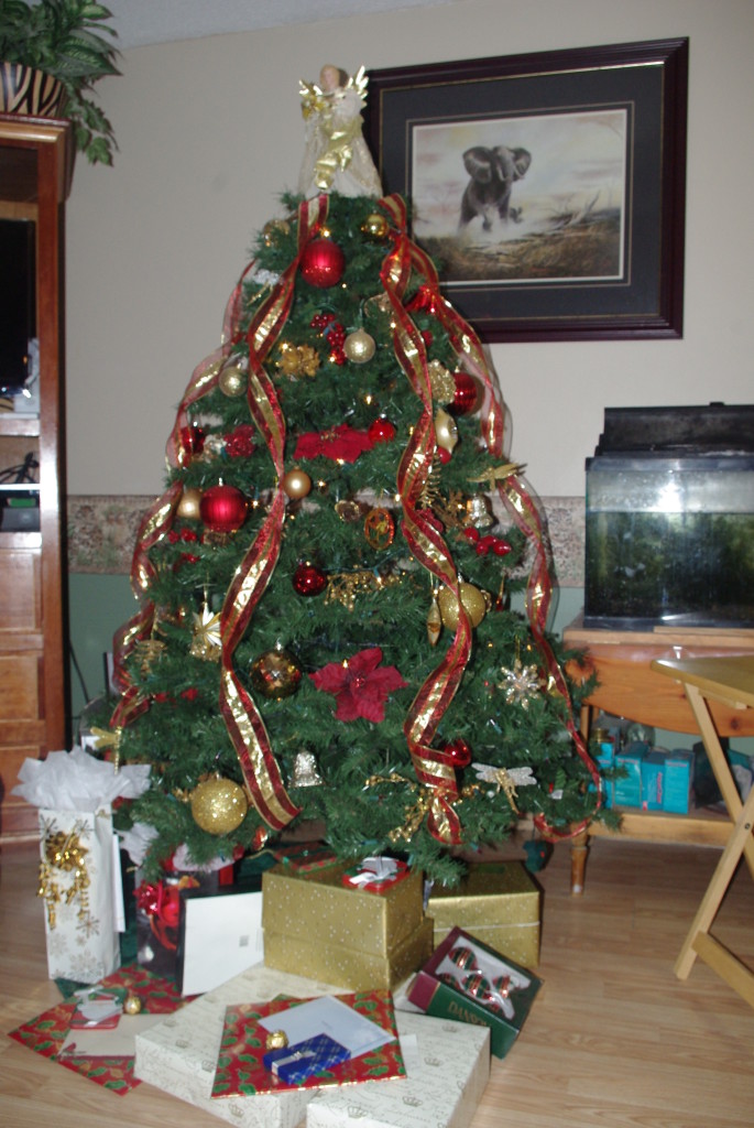 A white Christmas in Canada Wêreldwyd