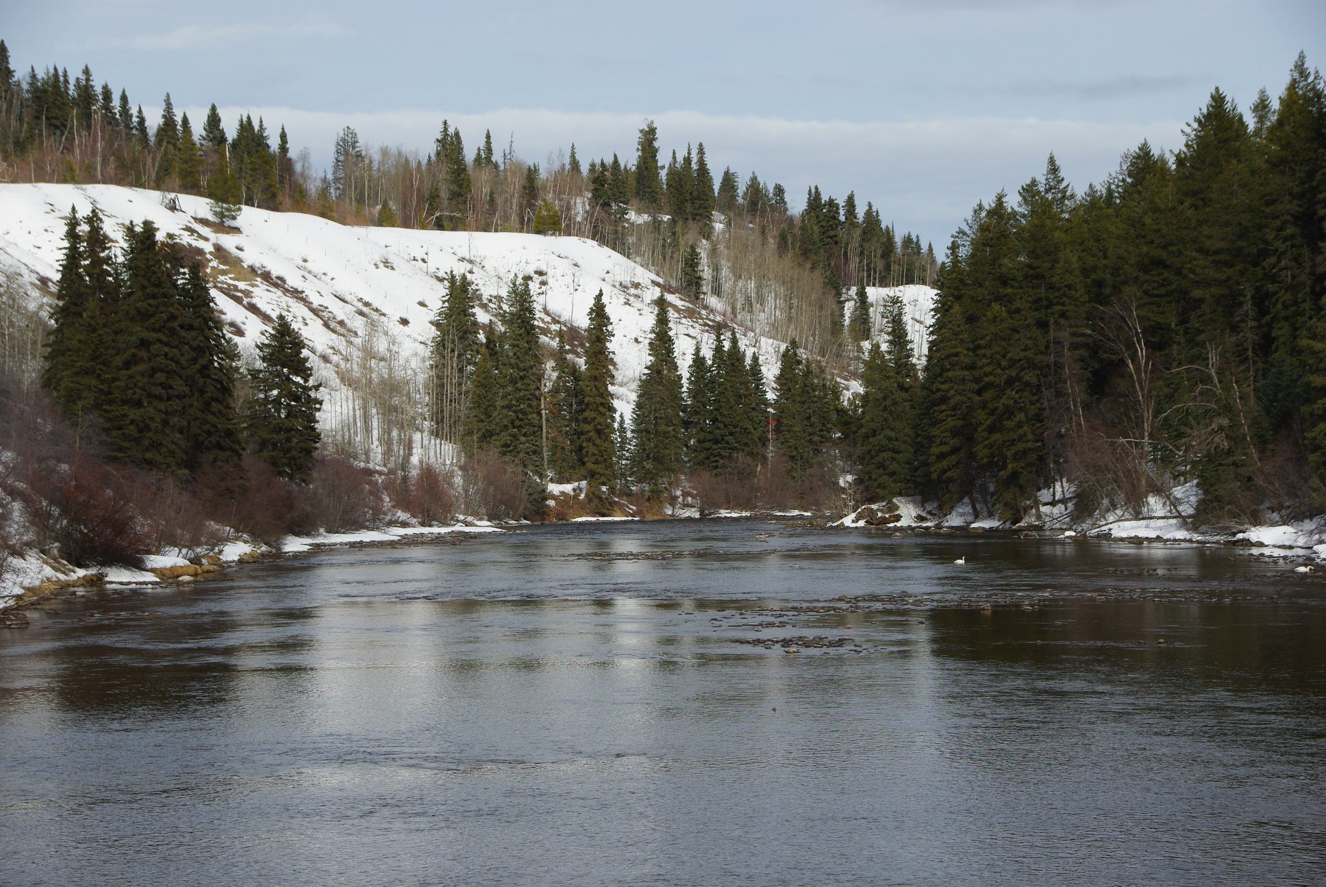 In the lens François Lake in the Birch Bay Resort Wêreldwyd