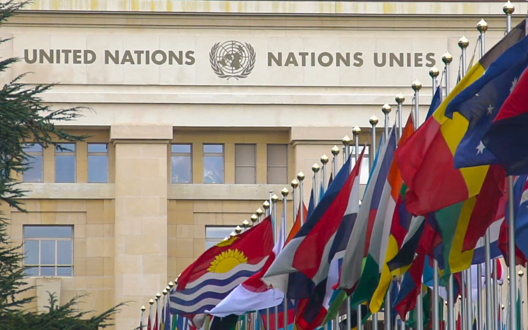 AfriForum waarsku teen rampspoedige gevolge van onteiening sonder vergoeding by VN
