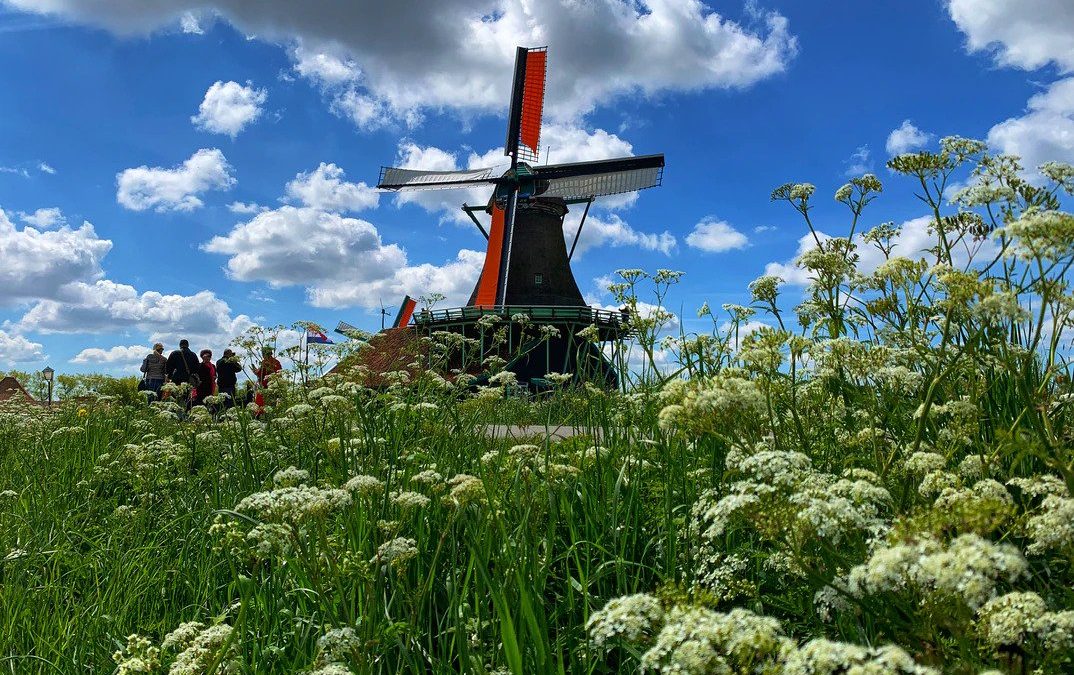 Wêreldgids  in fokus: Nederland