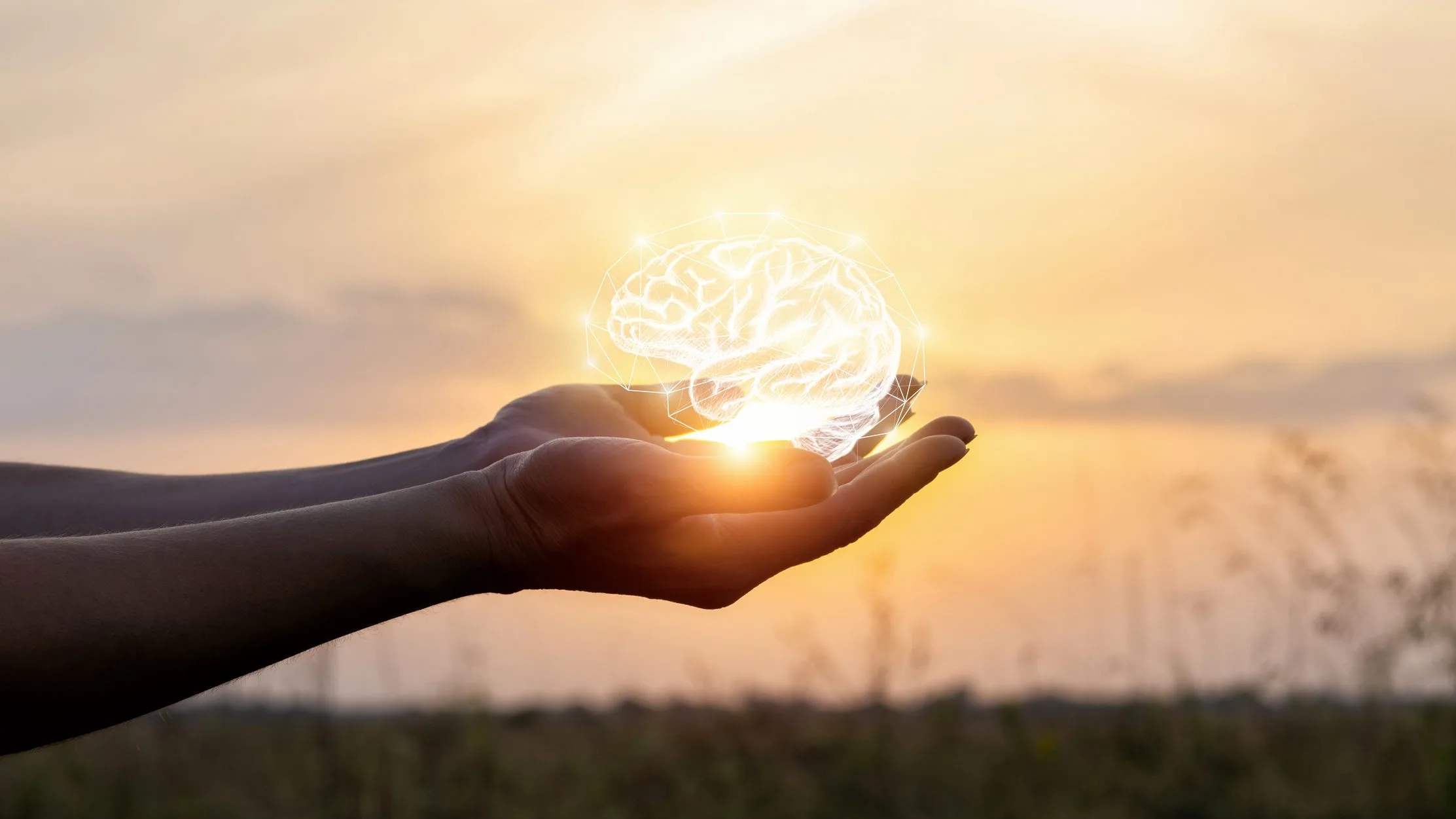 Your Mental Health Roadmap