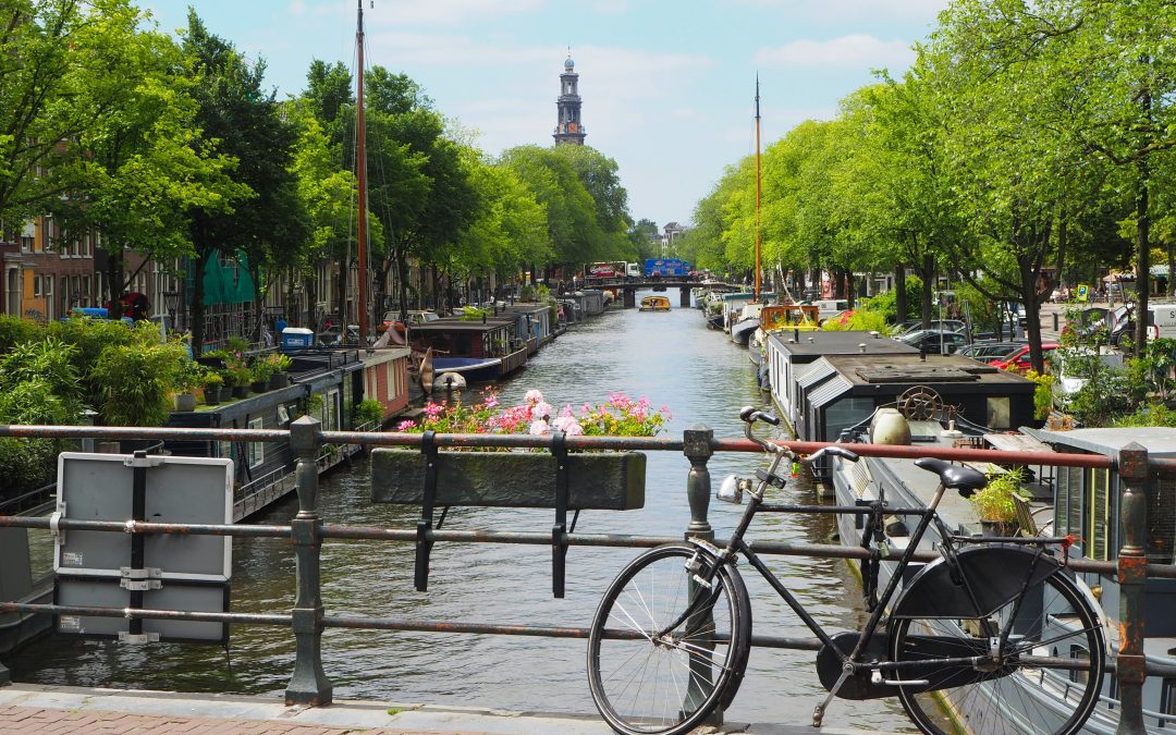 World Guide in focus: Netherlands